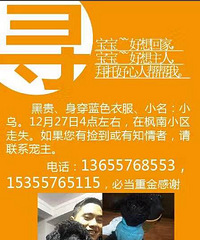 Ѱ������