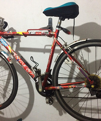 ���ֽݰ��س���