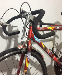 ���ֽݰ��س���