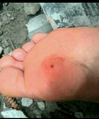 ���۸��᡿�����������ˣ�Ҫ��Ҫ�����˷��룿