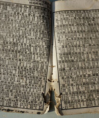 �ǲ�������ϵ��ֵ䣿