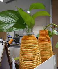 ССС���ܣ�������