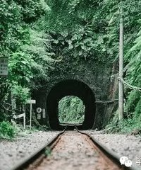 �纮��ð������������Ʒ纮�ģ�