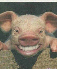 ���۸��᡿��ô����������ס