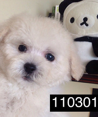 һ�Ѿ�Ʒ̩�ϳ��ѡ������Ʒ�ʵĹ���������