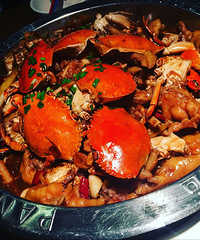 Ԫ��֮ҹ-�����ָ���