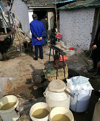 ���¯����������ɶ�ģ�