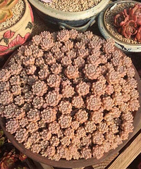 2016̨�ݶ������չ������Ƶ