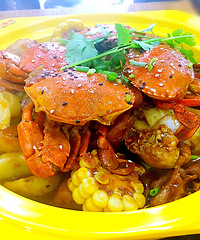 ������ļ�צ  �óԵ�ͣ������