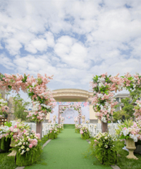 2017����С��鿴���� ����һ�����������ȫ