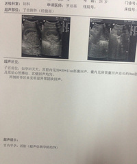 ��������ˮ�ݱ��������ռǡ�+�б�������С����