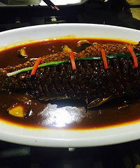 һ�����黳�Ĳ���