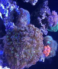 观赏海洋生态馆