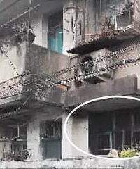 �ɷ�Ϊ��̱�����Ӳ�Ը�������� ����˫˫����