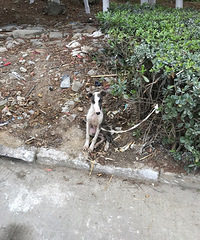 ���߿�������