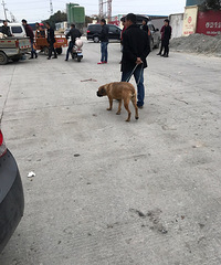 ���߿�������