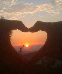 ���۸��᡿������Ȧ�﷢ʲô�Ų��ᱻ������