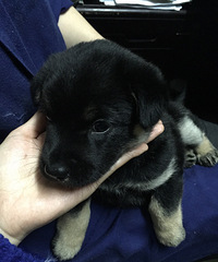 #Ѱ��Ե��#��С�ڹ�������������