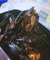 ʲô����  ���Ŵ��Ӷ����ŵ���ζ