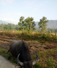 ���۸��᡿���껹׼�����·���