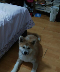 ����˹�4���£����ϴη�ͼ�ִ��˲��٣���ͼ����