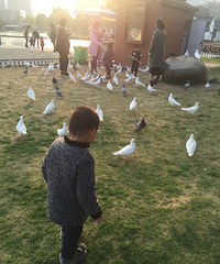 ����Ҫ��ӰƱ��������ҿ���Ӱȥ