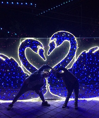 ����Ҫ��ӰƱ��