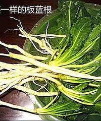 [ʵ��]��˵������Ԥ����ð��������ä