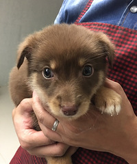 С�̹�����