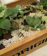 �����ĵ��ҼҶ��⡭��