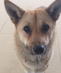 ��2016�����ܽ᡿����������