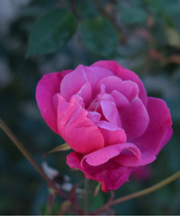 ��2016�����ܽ᡿��һ�����ô����