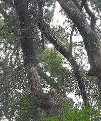 ��2016�����ܽ᡿����һ��PASSһ������û�������