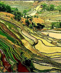 �������� ̫����