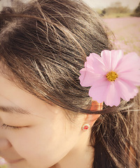 ��2016�����ܽ᡿�����˼�ʮ�������гɾ���