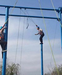 ��2016�����ܽ᡿���˷ֹ�˾������ϣ�����������⹫