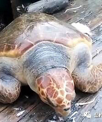 ����󺣹�ý���