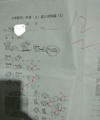 ��2016�����ܽ᡿���ŶදС����Сѧ����12�ֵ�99��