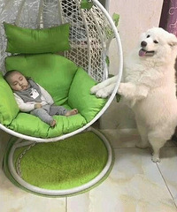 һֻ���չ˱����Ĺ�