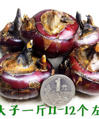 �Լ��ֵ�Ժ��ݩ������