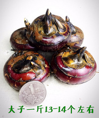 �Լ��ֵ�Ժ��ݩ������