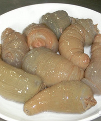 �ֺ��ִֵ���ʲô��