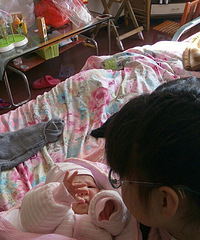 �����������