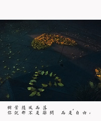 ��2016�����ܽ᡿��������������Ϊ���յ�һ��