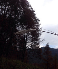 ���۸��᡿����׼���ͼ���ȥ�����Σ�