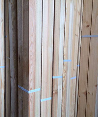 ������ľ����