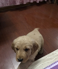 ��һ�����½�ë����ĸһ����������ϵ