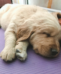 ��һ�����½�ë����ĸһ����������ϵ