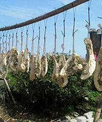 ����󺮣�׽ʵ���ꡣ