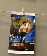 һ��������Ŀ��ţ��ʢ��